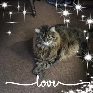 Meet your Posher, Mimi